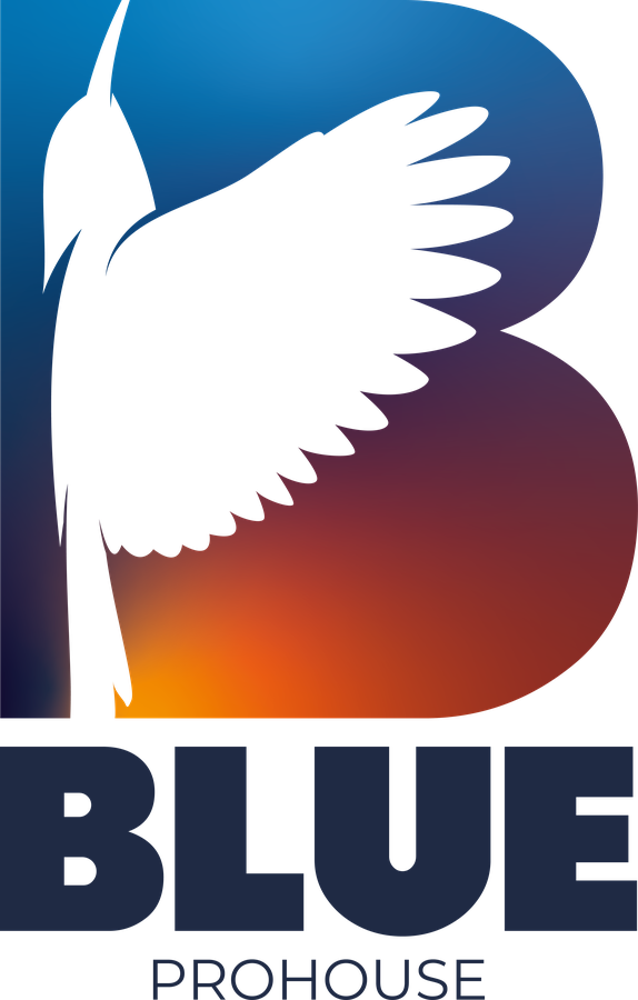 Blue Prohouse